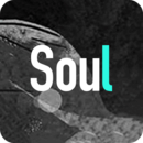 soul软件下载
