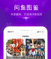 问鱼：让你可以快速了解到水生物名称与简介的一款识别软件