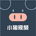 小猪视频app官方无限版