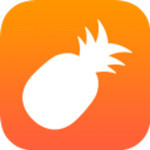 菠萝app下载汅api免费新版视频