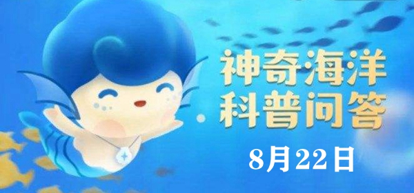 神奇海洋8.22今日答案-听说水母身上95%以上都是水,这是真的吗