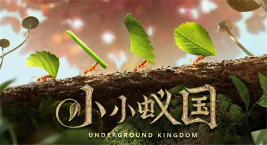 小小蚁国野外大地图使用教学-小小蚁国野外大地图怎么使用