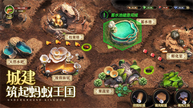 小小蚁国无限金币无限钻石版免广告最新版