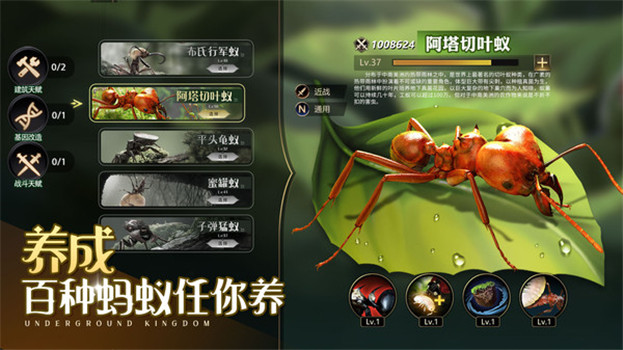 小小蚁国无限金币无限钻石版免广告下载