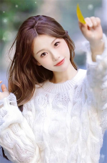 9.1.gbapp.crm网站截图4