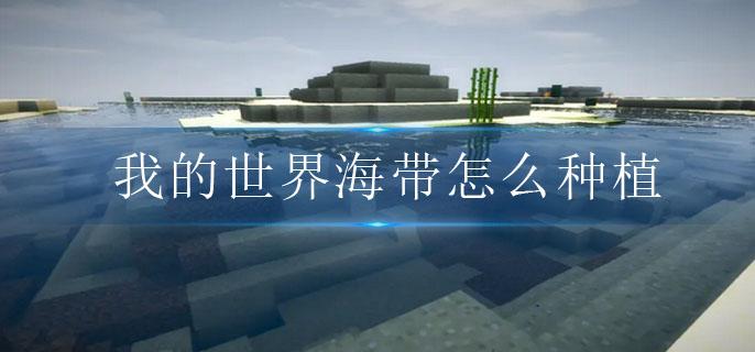 我的世界海带怎么种植