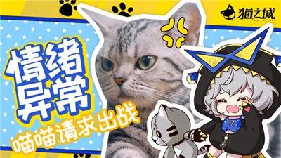 猫之城手游获取猫球的方法途径
