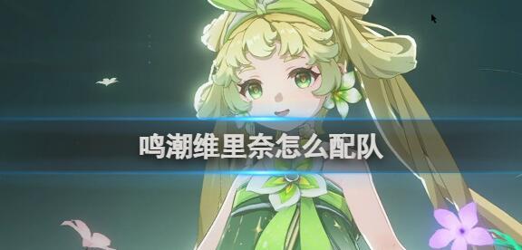 鸣潮维里奈配队攻略