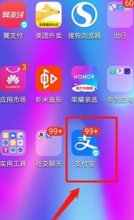 支付宝电子社保卡如何使用