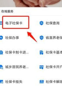 支付宝电子社保卡如何使用