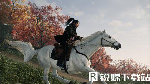 浪人崛起初期体验评测