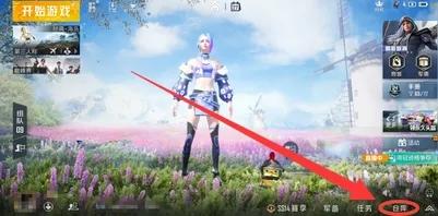 和平精英捏脸代码怎么输入-和平精英捏脸代码的方法
