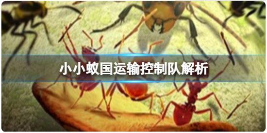 小小蚁国运输控制队解析 