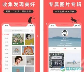 堆糖app怎么发布图片