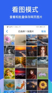 Alook浏览器官方苹果版ios版截图4