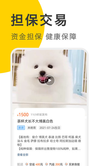买只宠物安卓版截图3