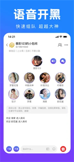 tt语音苹果版截图2