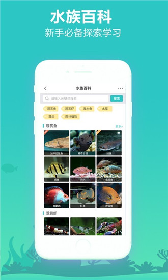泡泡水族截图4