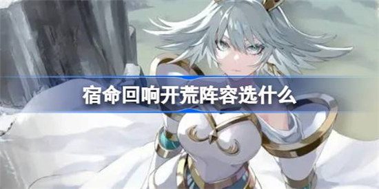 宿命回响开荒阵容选什么好宿命回响开荒阵容选择建议