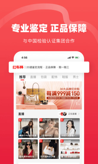 红布林正版截图1