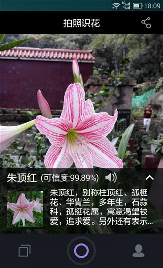 拍照识花截图2
