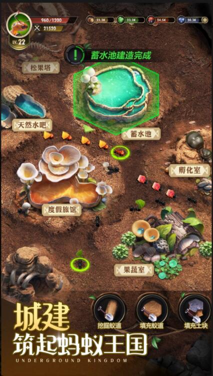 小小蚁国免费下载截图3