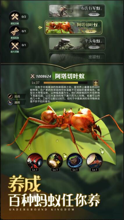 小小蚁国免费下载截图1