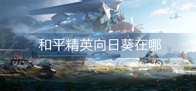 和平精英向日葵在哪-和平精英向日葵位置分享