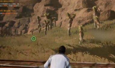 黎明觉醒杜松木收集地点在哪 黎明觉醒杜松木收集攻略