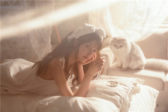 b站直播软件下载安装:b站直播软件下载安装ios