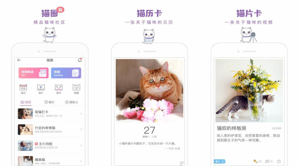 一日猫：一款猫奴必备记录猫咪的app