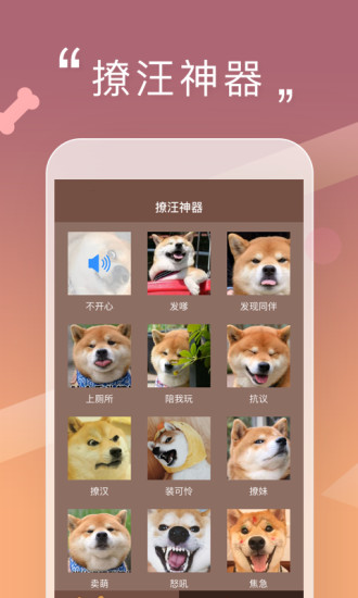人狗交流器官方下载截图3