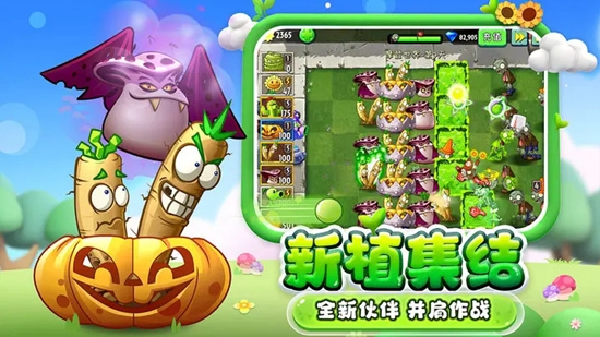 植物大战僵尸2下载安装正版截图2