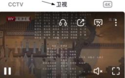 央视频如何查看卫视回放 央视频查看卫视回放的方法