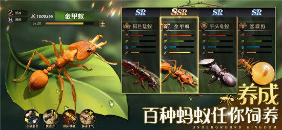 小小蚁国特化蚁战斗技能怎么用 特化蚁战斗技能介绍