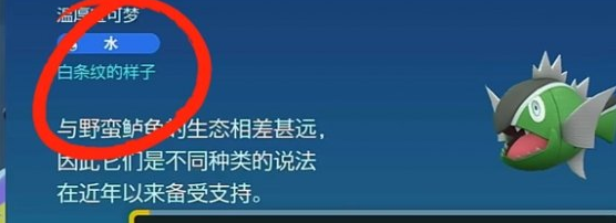宝可梦朱紫野蛮鲈鱼能进化吗 宝可梦朱紫野蛮鲈鱼进化图鉴