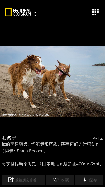 国家地理截图3