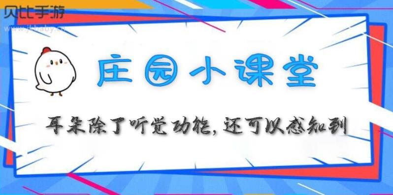 蚂蚁庄园3月22日:耳朵除了听觉功能,还可以感知到