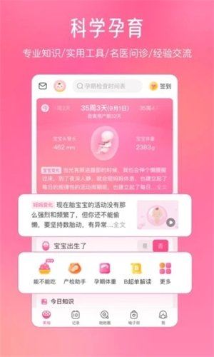 美柚安卓版截图1