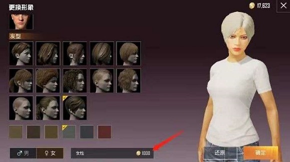 和平精英角色怎么改性别-和平精英角色可以改改性别吗