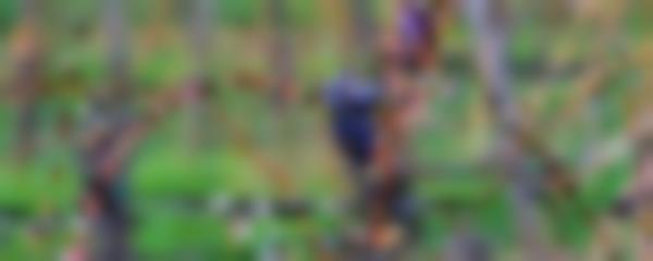 完蛋我被美女包围了 林乐清如何刷满好感度