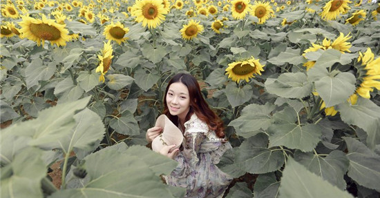 丝瓜秋葵榴莲草莓绿巨人污版：轻松解决各种不开心的播放器