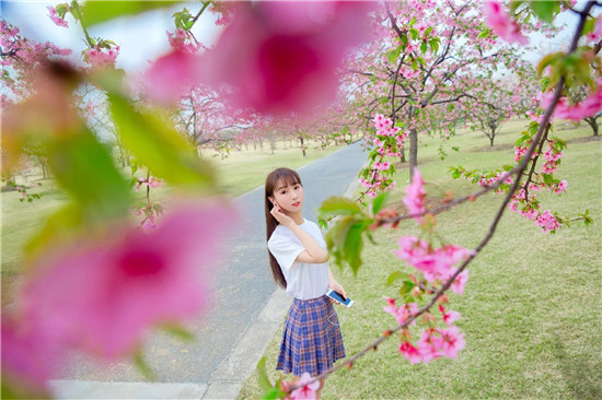 萝卜茄子丝瓜荔枝黄瓜草莓向日葵：每天都有精彩视频可以看