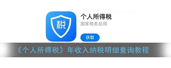 个人所得税年收入纳税明细怎么查询 年收入纳税明细查询教程