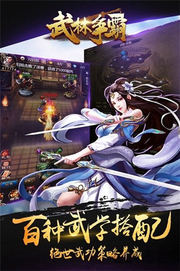 武林争霸解锁版截图2