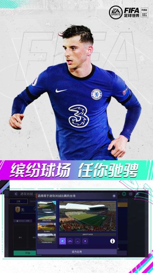 fifa足球世界精简版截图5